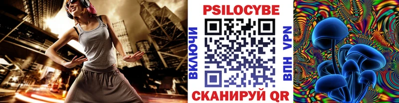 Псилоцибиновые грибы Psilocybe  Стерлитамак 
